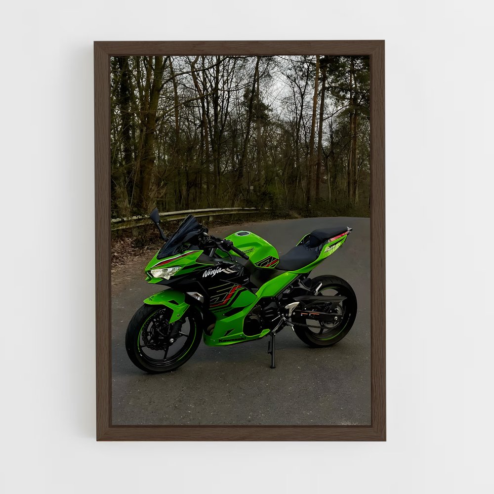 Poster Ninja Intrépide (vue 5)